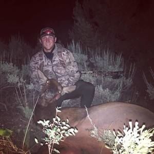 Meet your Posher, Bobby